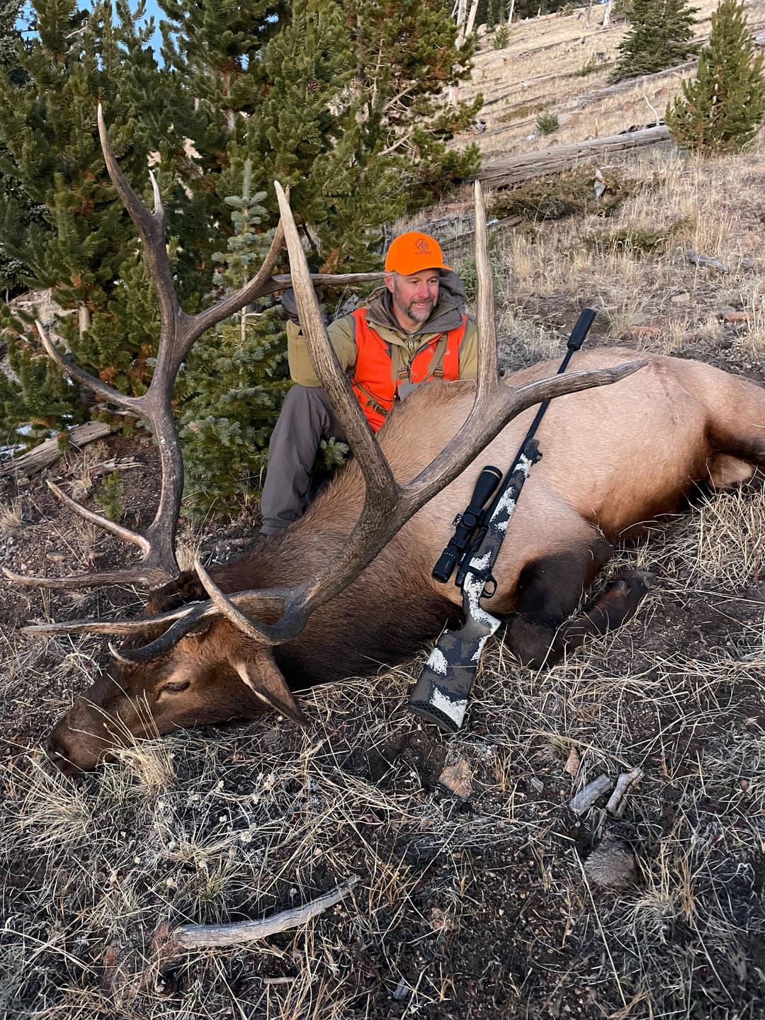 Elk vs. Moose Hunting: Key Differences, Strategies, and Gear for Success