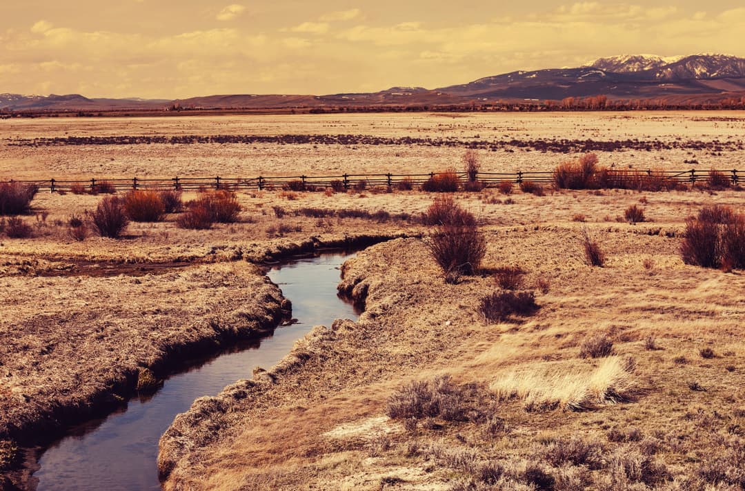What 2026 Hunting Lease Prices Actually Look Like